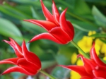 花実習作例３.jpg
