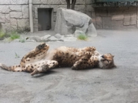 佐々木2.jpg
