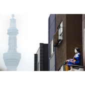 日野浅草１.jpg
