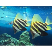 足立水族園.jpg